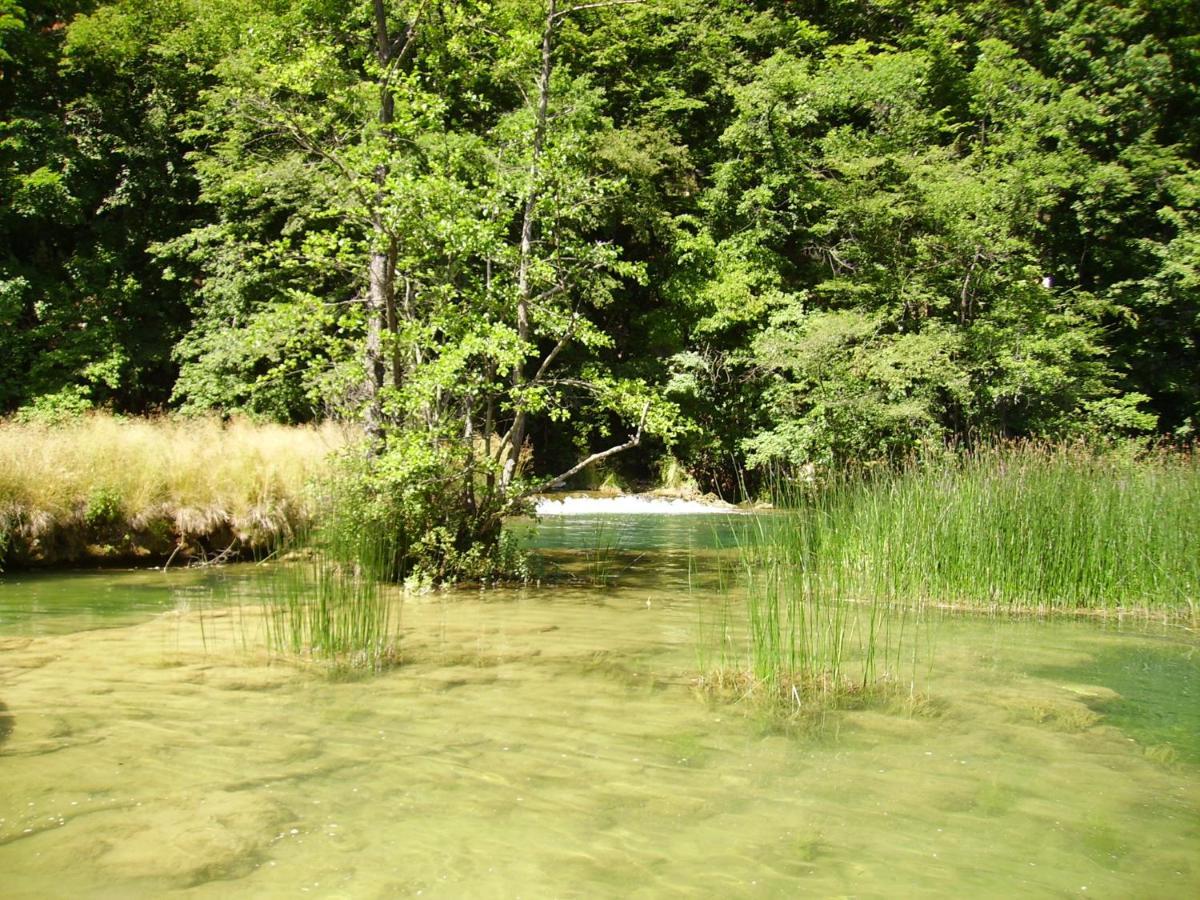 Appartamento Mreznicki Kutak Duga Resa Esterno foto