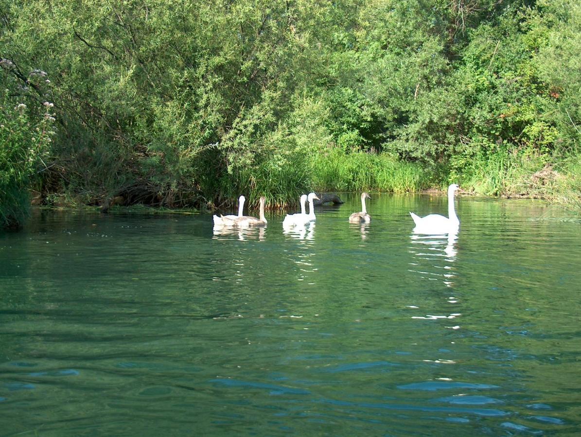 Appartamento Mreznicki Kutak Duga Resa Esterno foto