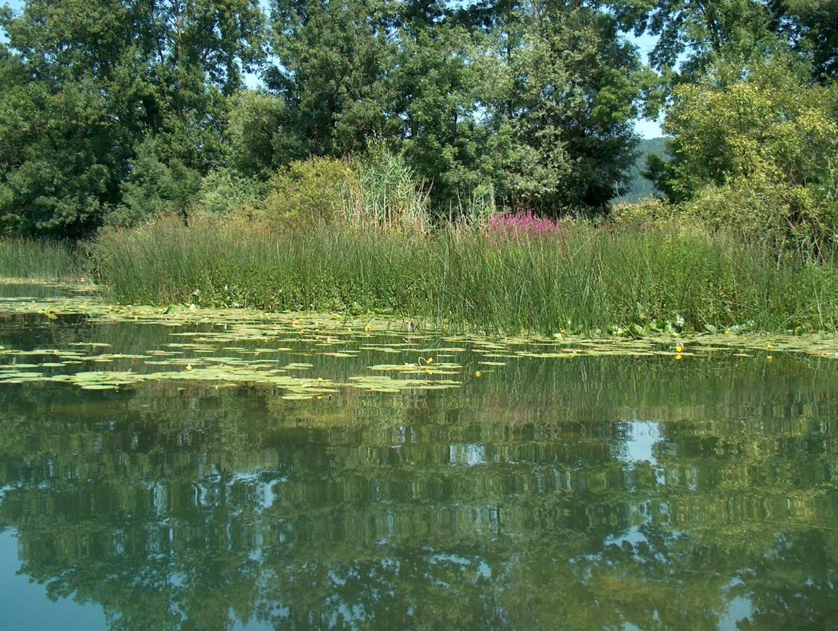 Appartamento Mreznicki Kutak Duga Resa Esterno foto