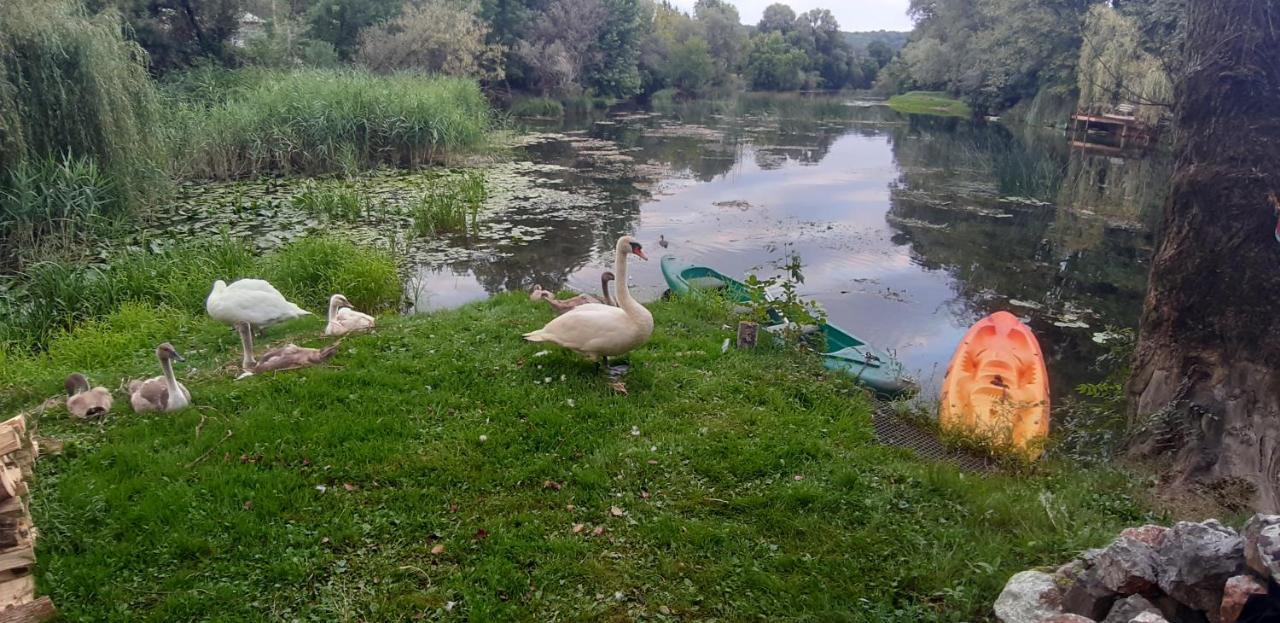 Appartamento Mreznicki Kutak Duga Resa Esterno foto